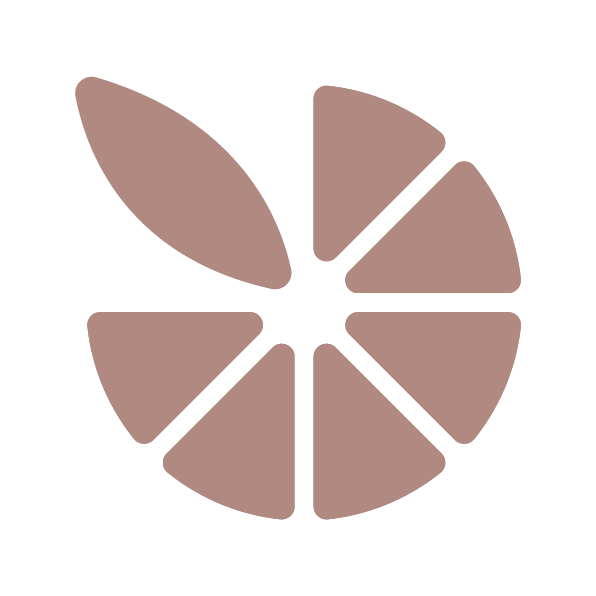 The best ironing systems, steam stations, and steamers. Laurastar Steam Irons.